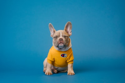 Work 3